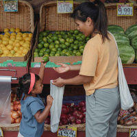 The social safety net as an investment in children