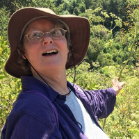 Take an intoxicating plants tour at UC Botanical Garden