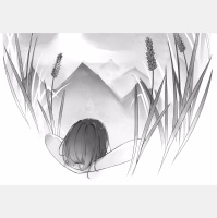 夕阳落山的时候丨默默