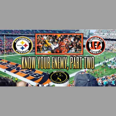 Behind The Steel Curtain: For Pittsburgh Steelers Fans