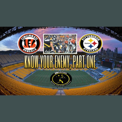 Behind The Steel Curtain: For Pittsburgh Steelers Fans