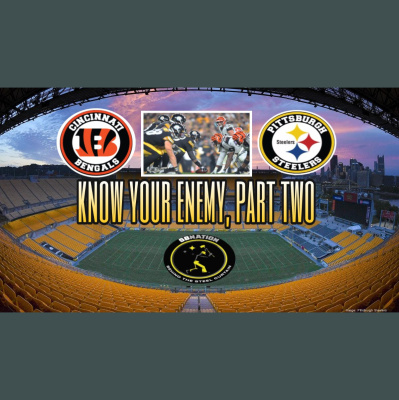 Behind The Steel Curtain: For Pittsburgh Steelers Fans
