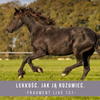 Lekkość. Jak ją rozumieć - fragment live 131