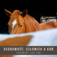 Osobowość - Człowiek a Koń - fragment live 200