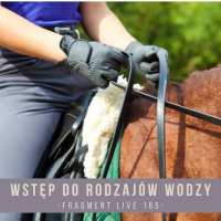 Wstęp do rodzajów wodzy - Fragment live 156