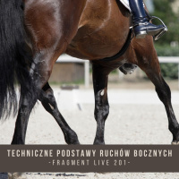 Techniczne podstawy Ruchów Bocznych - fragment live 201