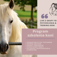 Live 6: Program szkolenia Alfa Horse