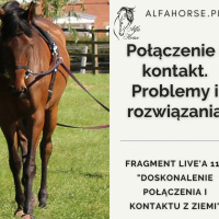 Live 115: Doskonalenie połączenia i kontaktu z ziemi