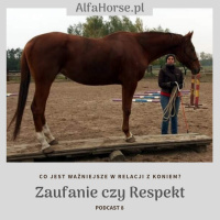 Podcast 8: Co jest ważniejsze w treningu koni? Zaufanie czy respekt?