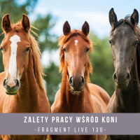 Zalety pracy wśród koni - fragment live 130