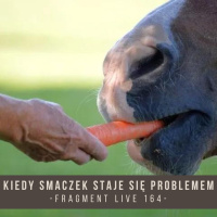 Kiedy smaczek staje się problemem - fragment live 164