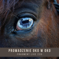 Prowadzenie oko w oko - fragment live 228
