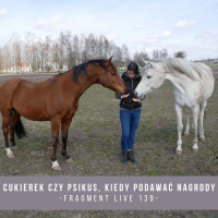 Cukierek czy psikus. Kiedy podawać nagrody dodatkowe - fragment live 139