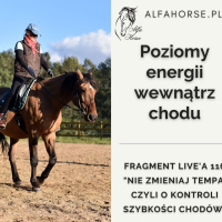 Fragment Live 116: Kontrola poziomów energii w chodzie