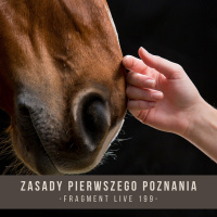 Zasady pierwszego poznania - fragment live 199