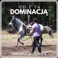 Podcast 6: Co z tą dominacją?!