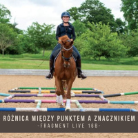 Różnica między punktem a znacznikiem - fragment live 168