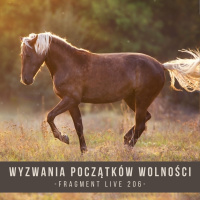 Wyzwania początków wolności - fragment live 206