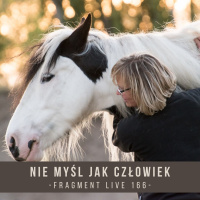 Nie myśl jak człowiek - fragment live 166