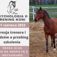 LIVE 104: Presja trenera i widzów a przebieg szkolenia