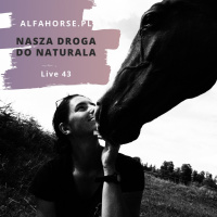 Live 43: Nasza droga do Naturala, czyli Naturalnego Treningu Koni
