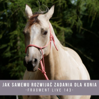Jak samemu rozwijać zadania dla konia - Fragment live 143