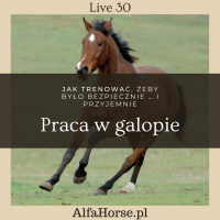 Live 30: Praca w galopie