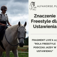 Znaczenie Freestyle dla Ustawienia - fragment Live 117