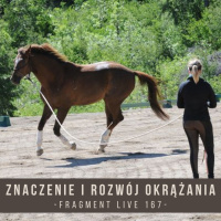 Znaczenie i rozwój okrążania - fragment live 167