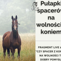 Pułapki spacerów na wolności z koniem - fragment live 124