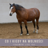 Co i kiedy na wolności - fragment live154