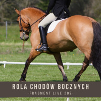 Rola Ruchów Bocznych - fragment live 202