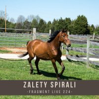 Zalety Spirali - fragment live 224