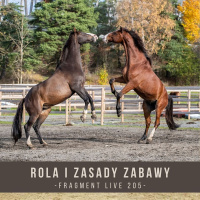 Rola i zasady zabawy - fragment live 205