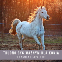 Trudno być ważnym dla konia - fragment live 148