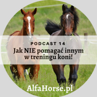 Podcast 14: Jak NIE pomagać innym w treningu koni!
