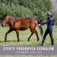 Efekty podobnych sygnałów - fragment live 153