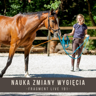 Psychologia  Trening Koni - Alfa Horse