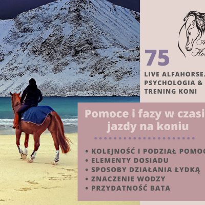 Psychologia  Trening Koni - Alfa Horse