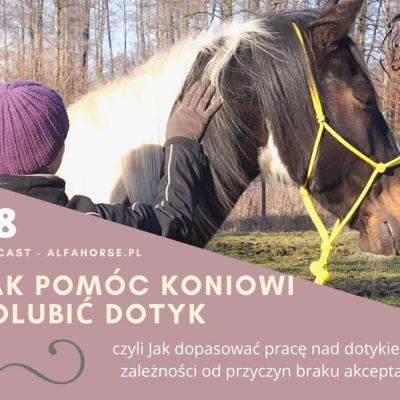 Psychologia  Trening Koni - Alfa Horse
