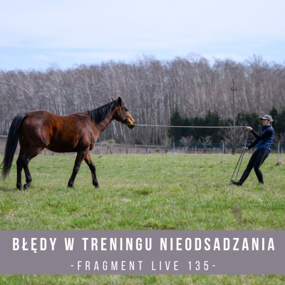 Psychologia  Trening Koni - Alfa Horse