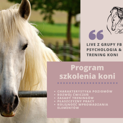 Psychologia  Trening Koni - Alfa Horse