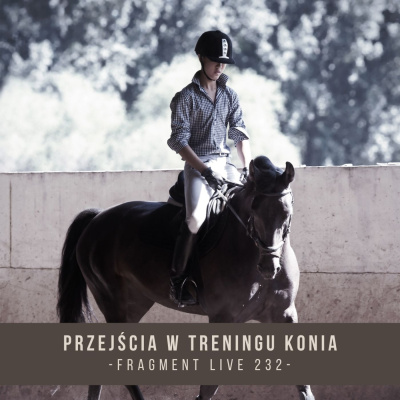 Psychologia  Trening Koni - Alfa Horse