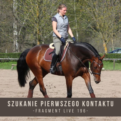 Psychologia  Trening Koni - Alfa Horse