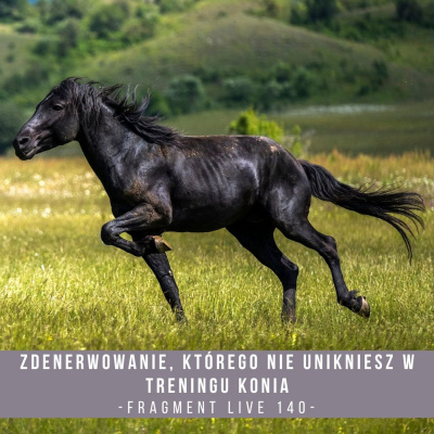 Psychologia  Trening Koni - Alfa Horse