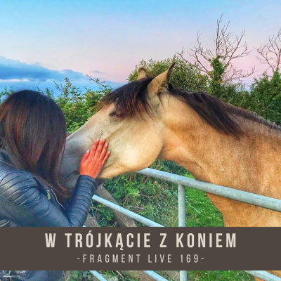 Psychologia  Trening Koni - Alfa Horse