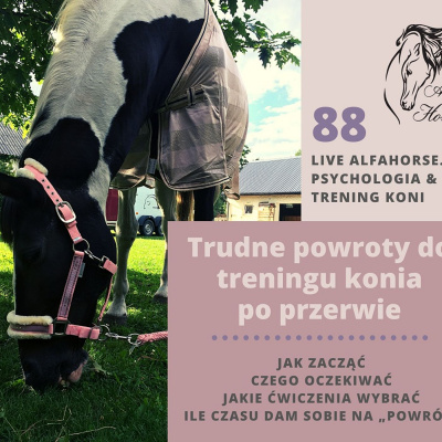 Psychologia  Trening Koni - Alfa Horse