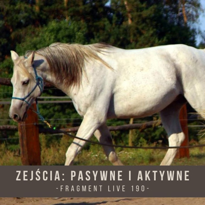 Psychologia  Trening Koni - Alfa Horse