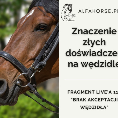 Psychologia  Trening Koni - Alfa Horse