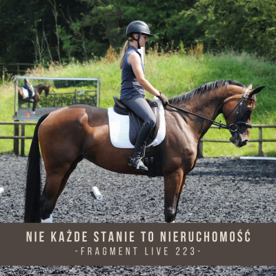 Psychologia  Trening Koni - Alfa Horse